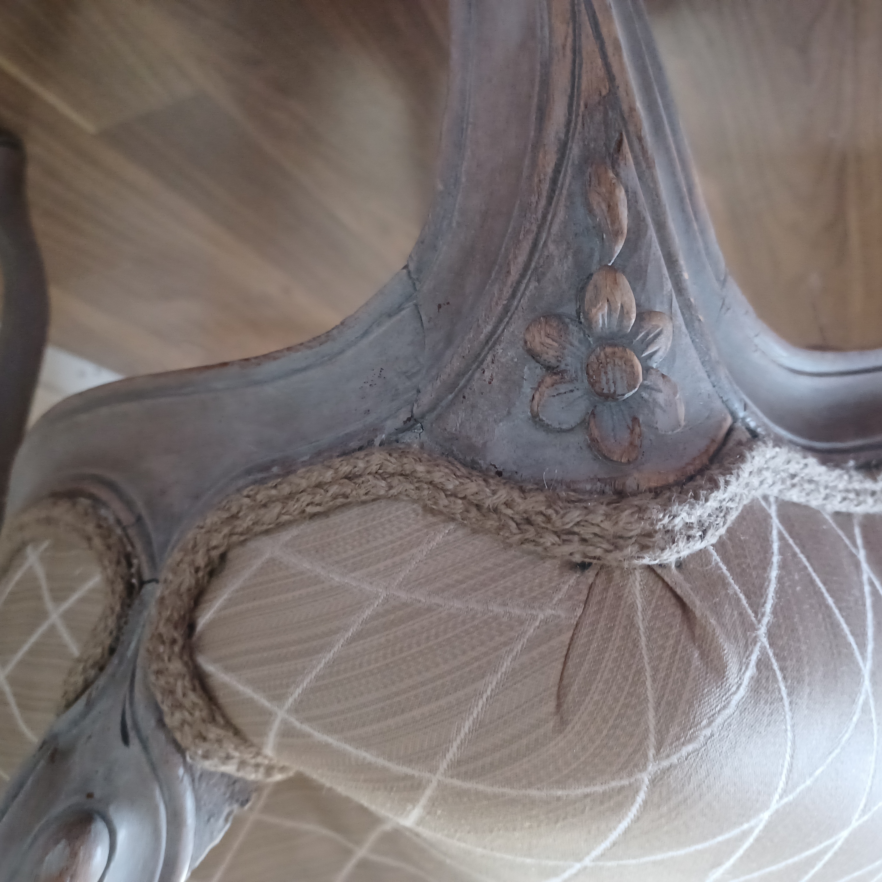 Ma campagne à Cirey